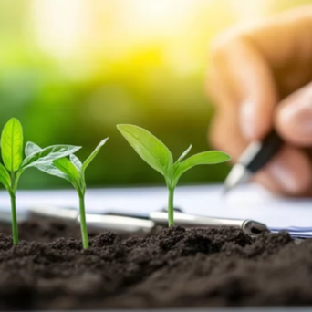 Nachhaltigkeitsbericht