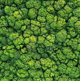 Unternehmensverantwortung