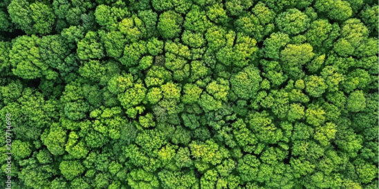 Unternehmensverantwortung